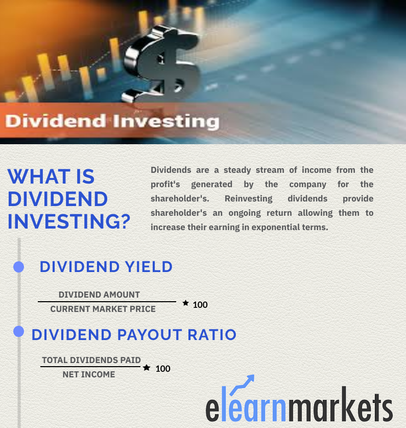 Best dividend investing strategy linnsoft market profile forex