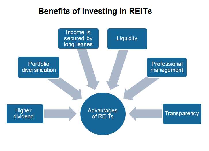 sandra investing in reits